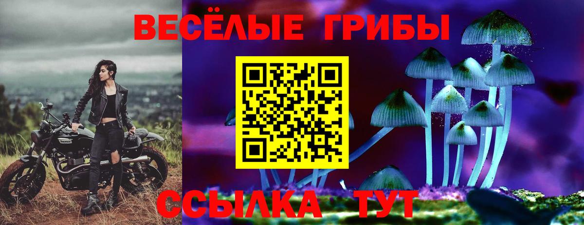 Псилоцибиновые грибы Cubensis  цена наркотик  Карталы  Вход с VPN  Галлюциногенные грибы Magic Shrooms 